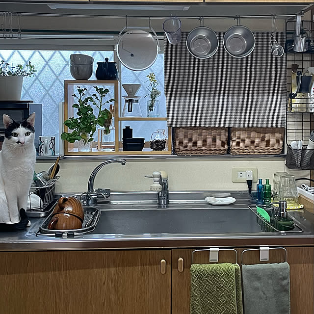 nobikoさんの実例写真