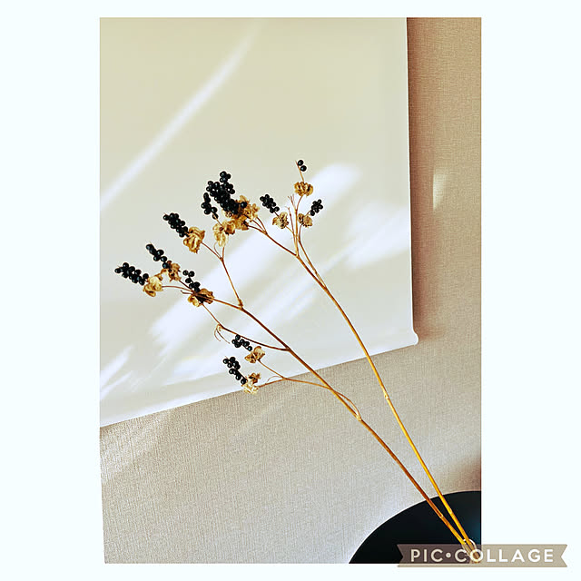 kazu15さんの実例写真