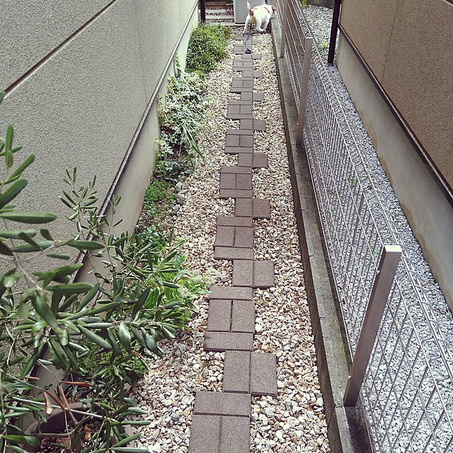 mintさんの実例写真