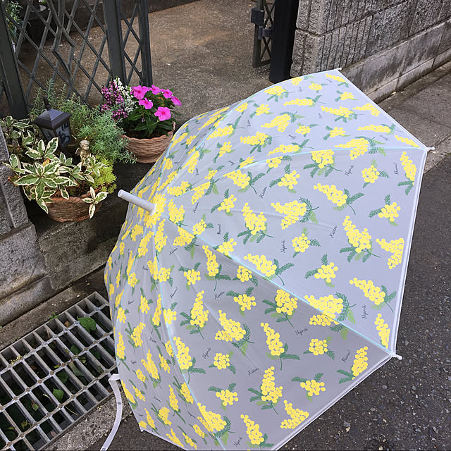 reonmamaさんの実例写真