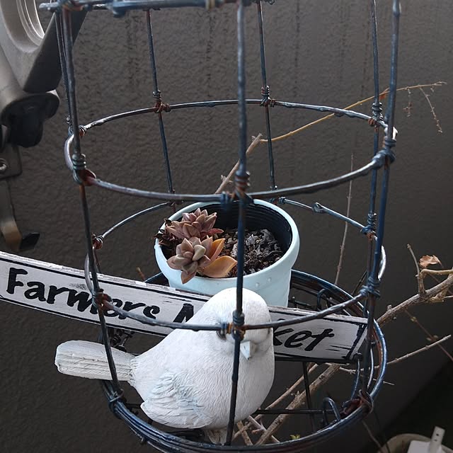 kakkaさんの実例写真