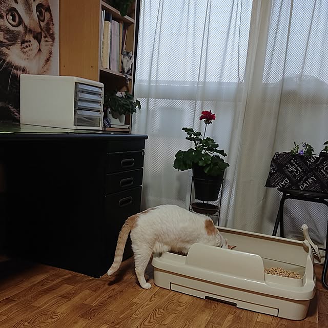 NOAHさんの実例写真