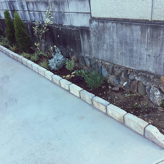 sayaさんの実例写真