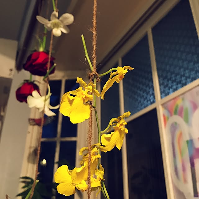 Fumikaさんの実例写真