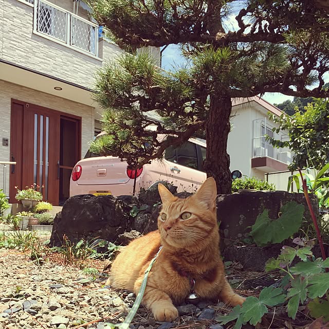 hugurouさんの実例写真