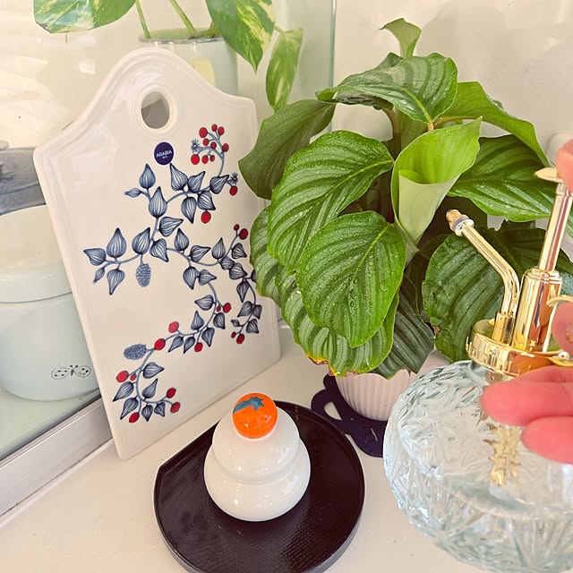 mutyukingさんの実例写真