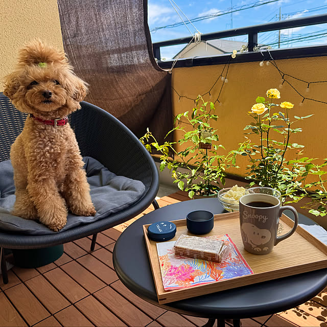 chaimomさんの部屋