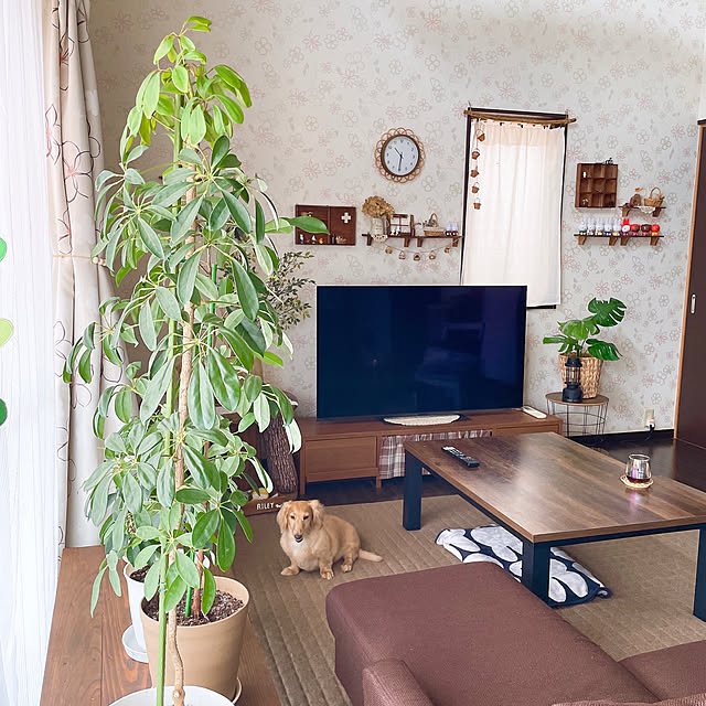-Riley-mama.-さんの実例写真