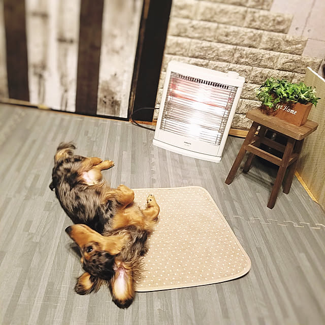 Chiさんの実例写真