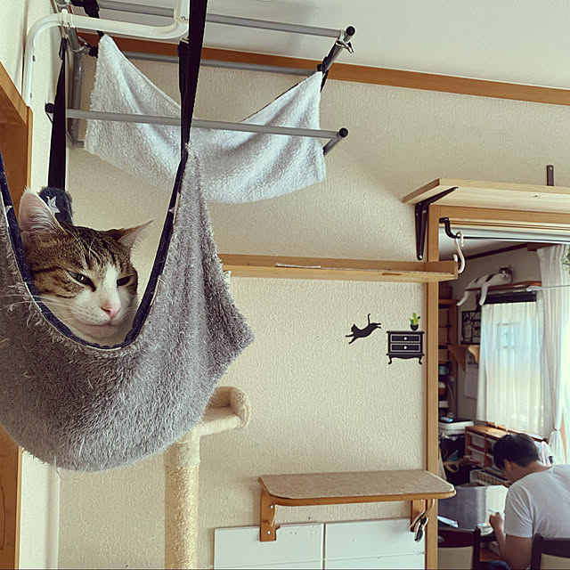 Lufuさんの実例写真
