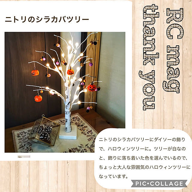 Michiさんの実例写真