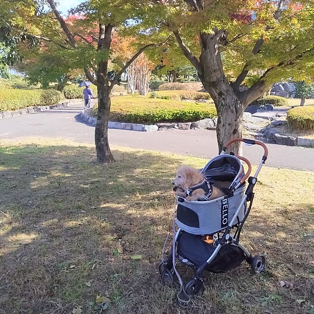 chocococoaさんの部屋