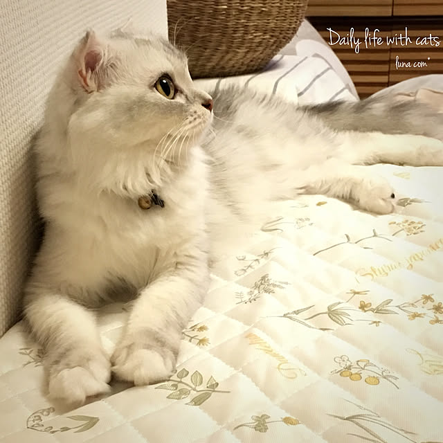 luna.comさんの実例写真