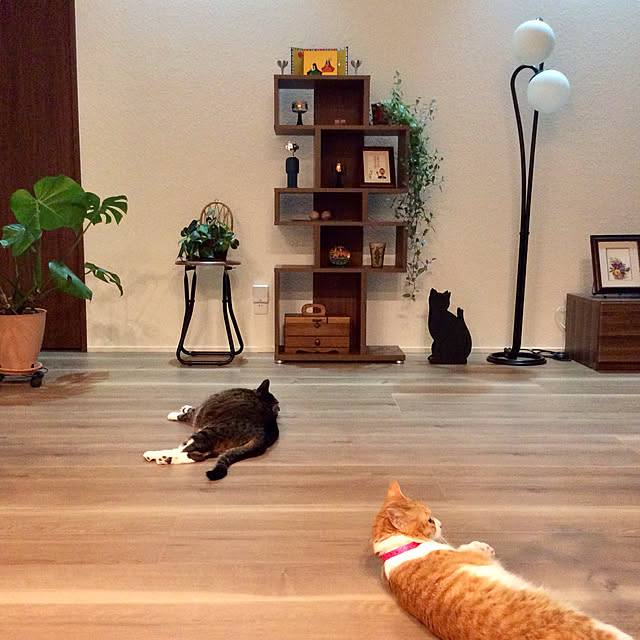 houenさんの実例写真