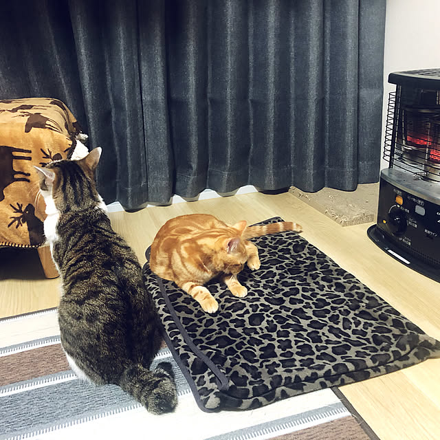 natural72ralさんの実例写真