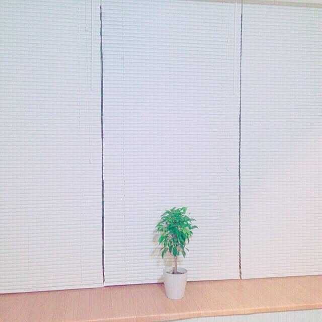 jereeeenさんの実例写真