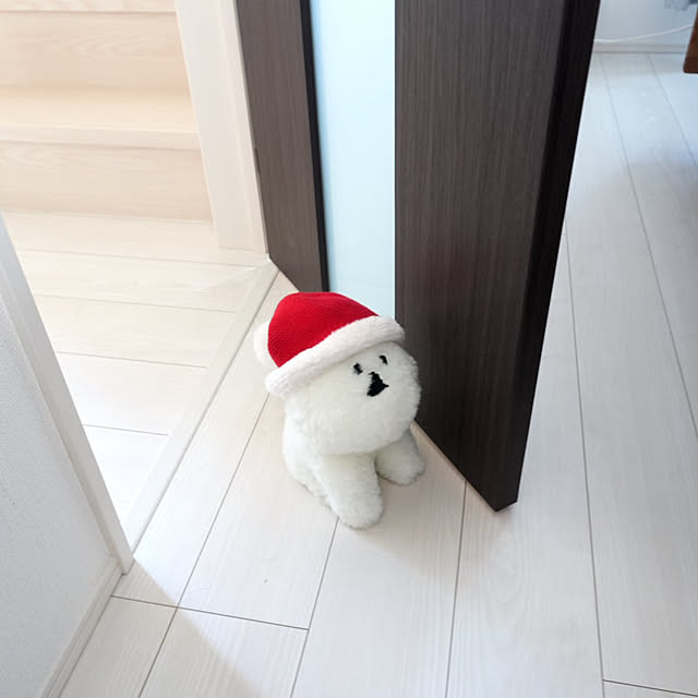 mikeさんの実例写真