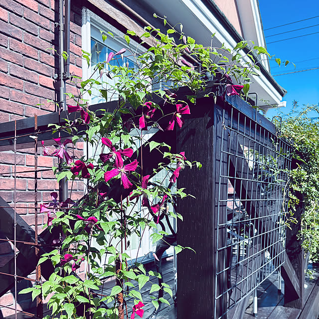 usagiさんの部屋