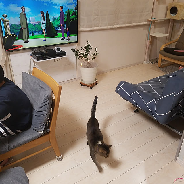 t-famさんの実例写真