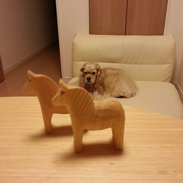 evetamaさんの実例写真