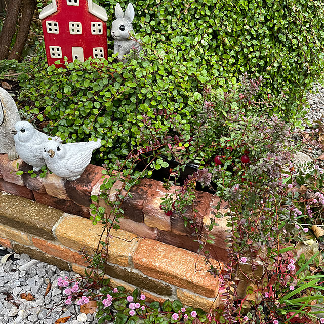 ronronさんの部屋