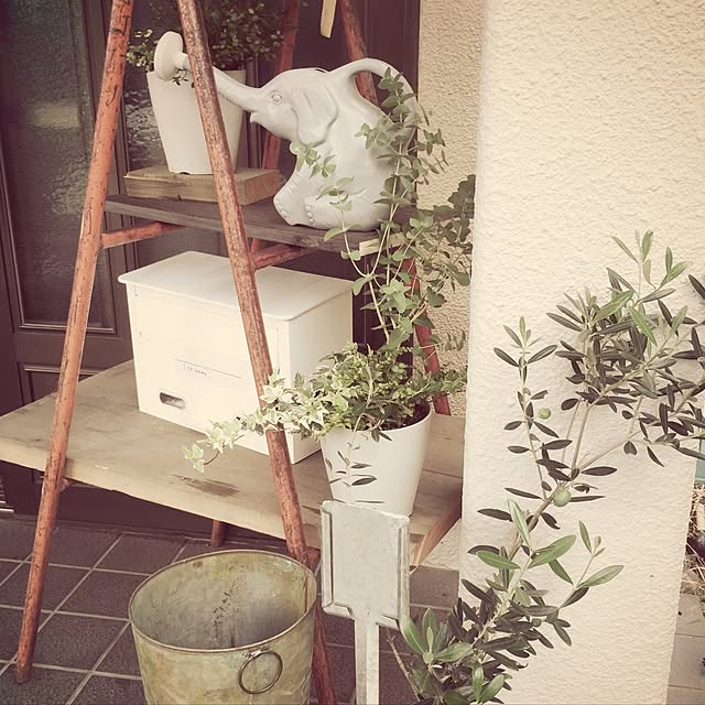 chicoさんの実例写真