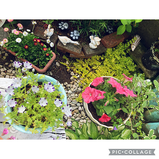 CoCo0617さんの部屋