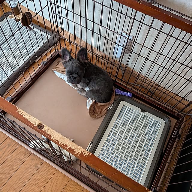 chi_gogaさんの部屋