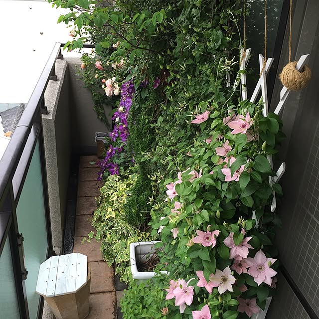 kimishigureさんの実例写真