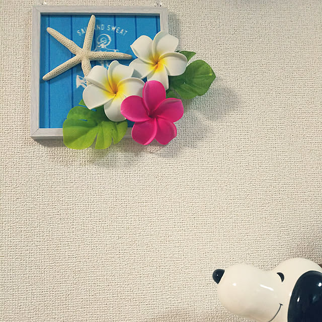 hatochanさんの実例写真