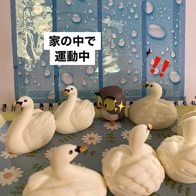 manduonmaさんの部屋