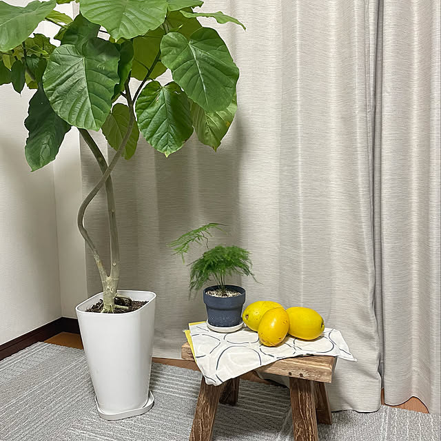 ニトリ 遮光1級・遮熱・防炎カーテン(クリア ベージュ 100X220X2 ニトリ 遮光1級・遮熱・防炎カーテン(クリア ベージュ 100X220X2
