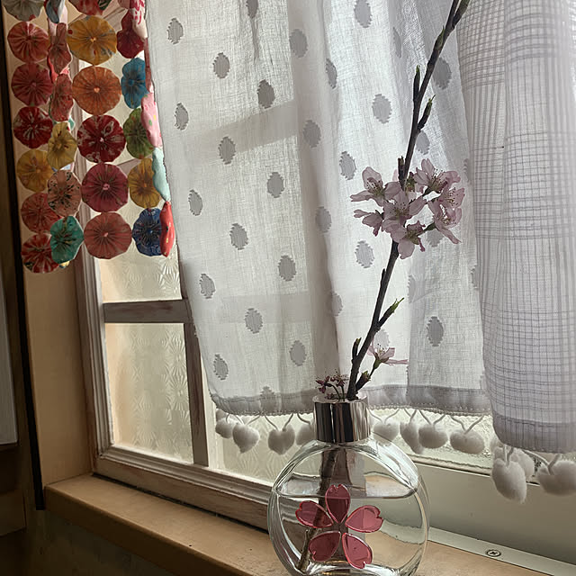 Fumiさんの実例写真