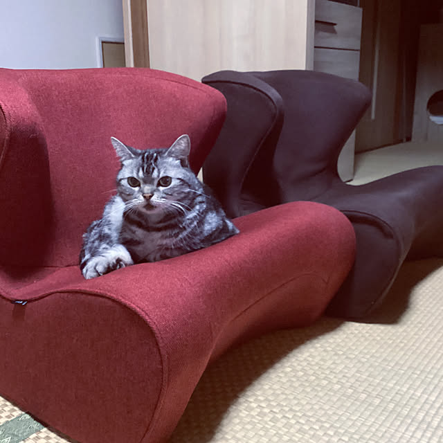 richanさんの実例写真