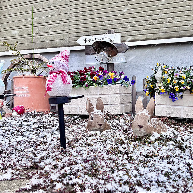 Junさんの実例写真