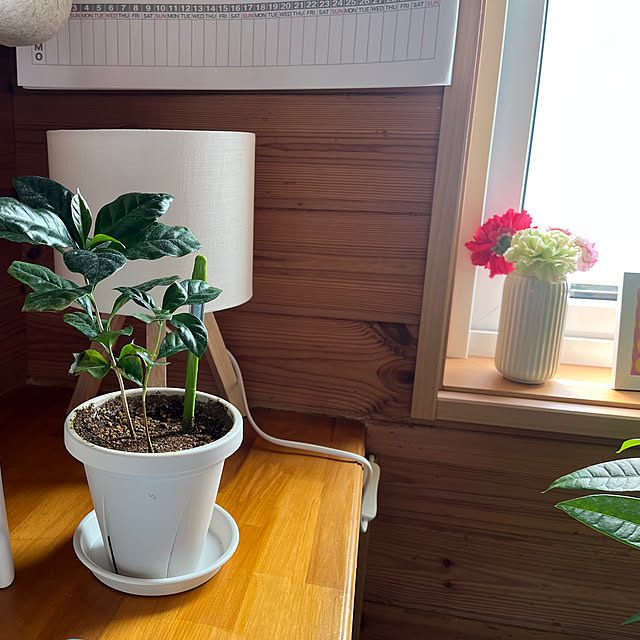 mogumoguさんの部屋