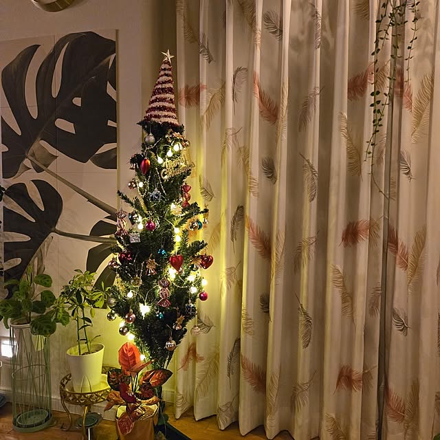 nonbiri_house_さんの部屋