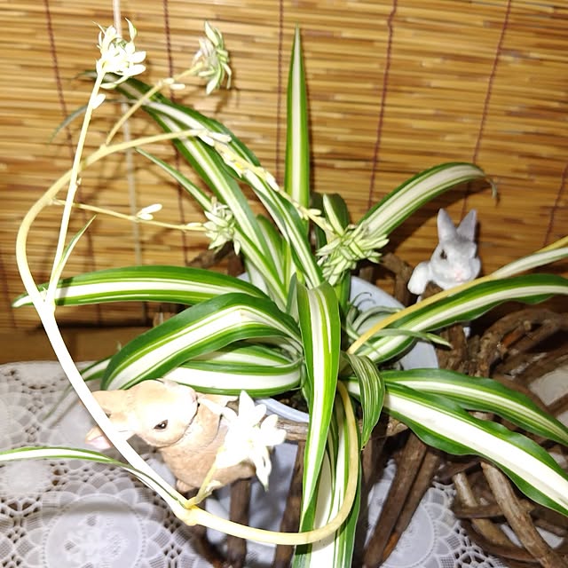 katさんの部屋