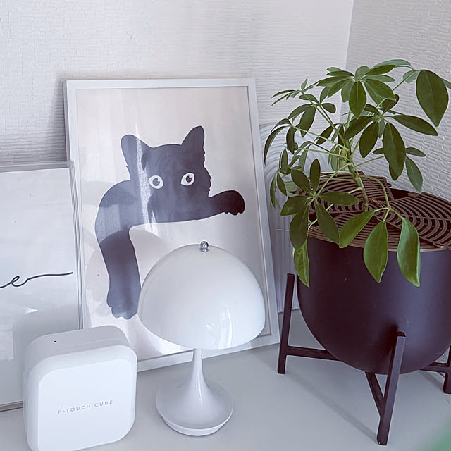 mya___kさんの実例写真