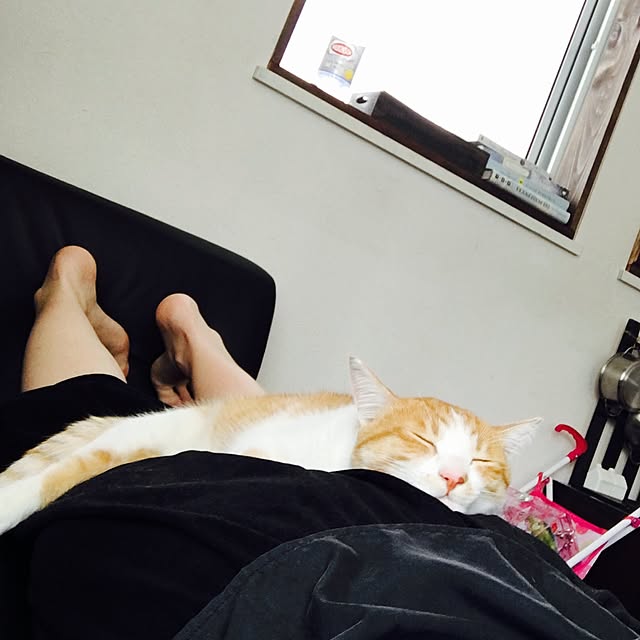 abcさんの実例写真