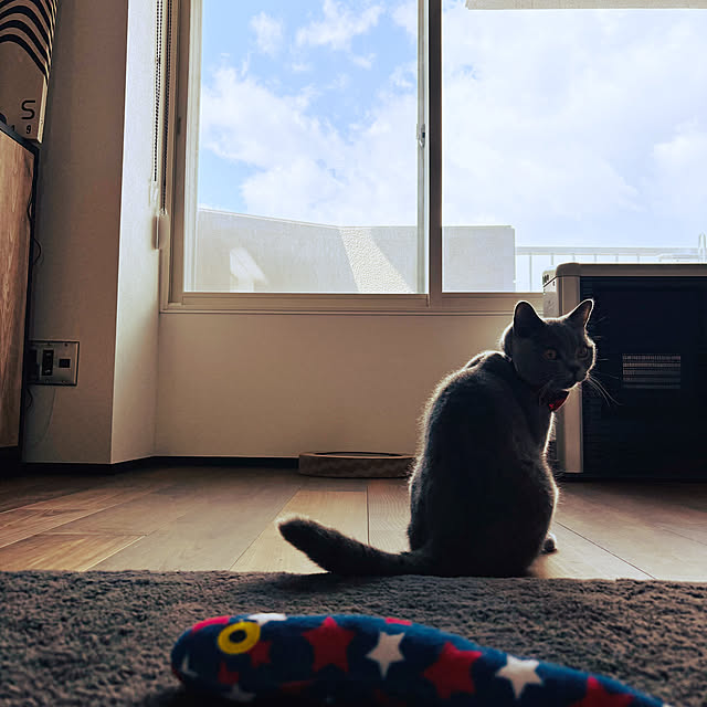 lulu1109さんの実例写真
