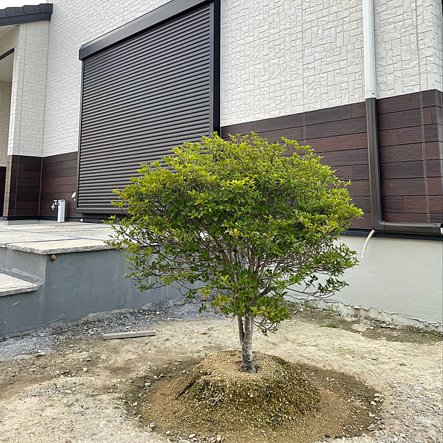 happyさんの実例写真