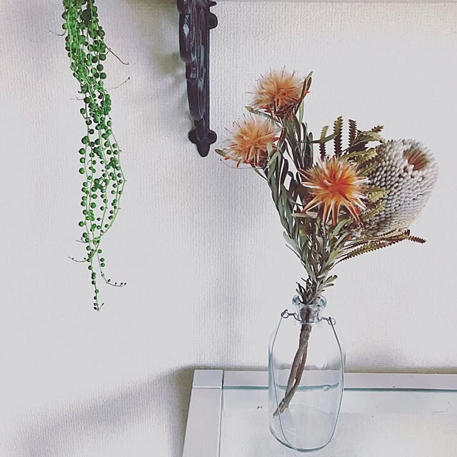 nanohanaさんの実例写真