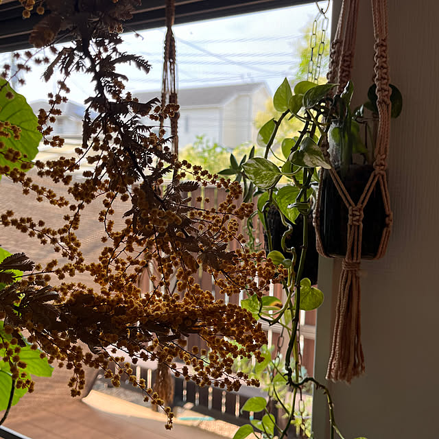 kojimasaさんの部屋