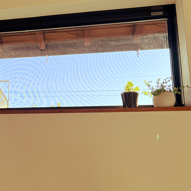 YUKINさんの部屋