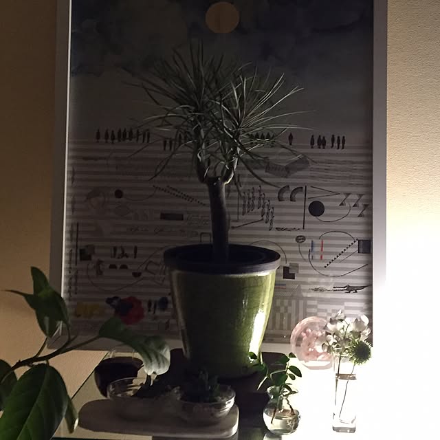 earthさんの実例写真