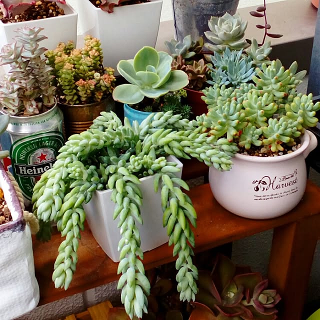 VERANDARJUNさんの実例写真