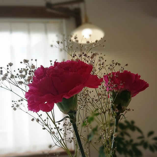 Mi-koさんの部屋