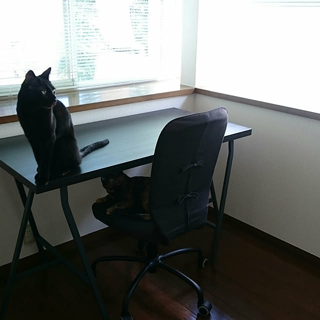 tsukushiさんの実例写真