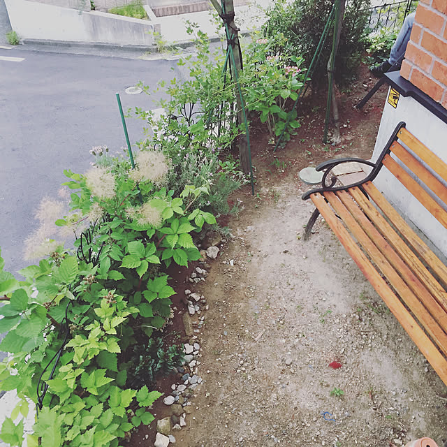 pugholicさんの実例写真